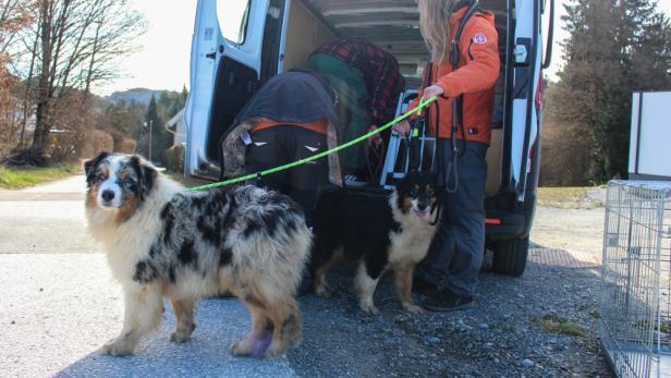 Tierrettung Kärnten