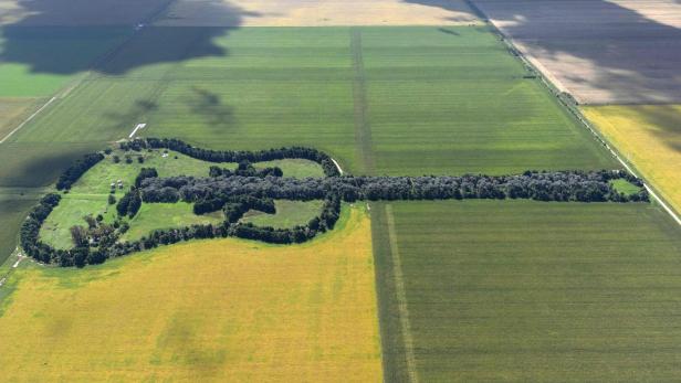 TOPSHOT-ARGENTINA-GUITAR-FARM-TREES
