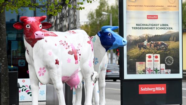 ++ THEMENBILD ++ SALZBURG: MOLKEREI SALZBURGMILCH