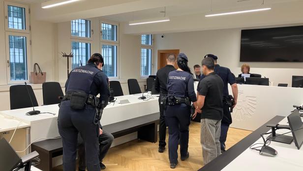 Prozess, Pedo Hunter, Wien, Jugendliche