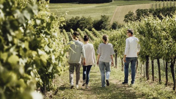 Menschen spazieren durch die frühlingshaften Weingärten
