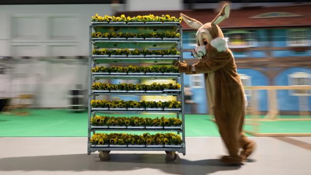 Messe Dresdner Ostern