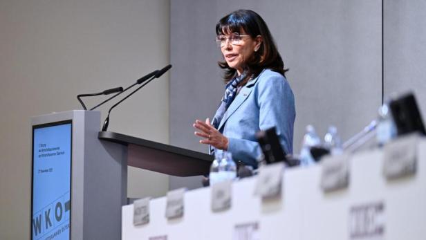 WKO-Präsidentin Martha Schultz