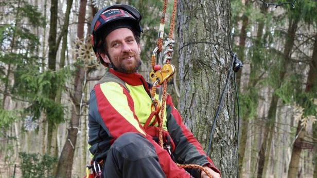 Ein Mann in Schutzkleidung sitzt mit Kletterausrüstung und Motorsäge an einem Baum im Wald.