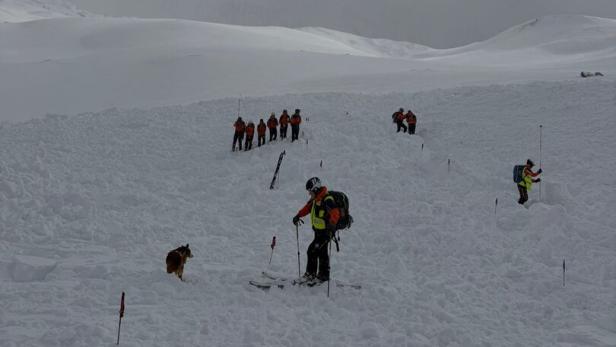 Mehrere Rettungskräfte und ein Hund suchen in verschneiter Berglandschaft nach Verschütteten.