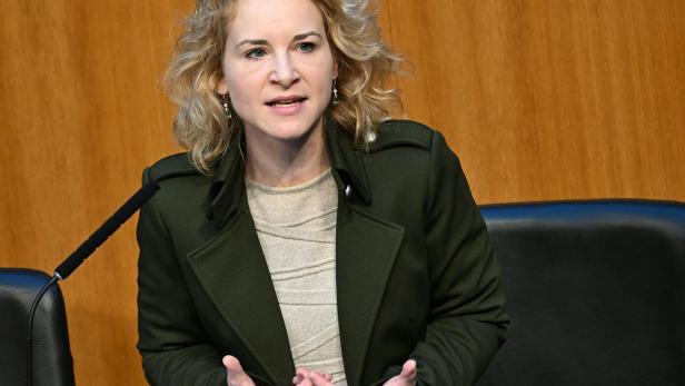 NATIONALRAT: HOLZLEITNER (SPÖ)