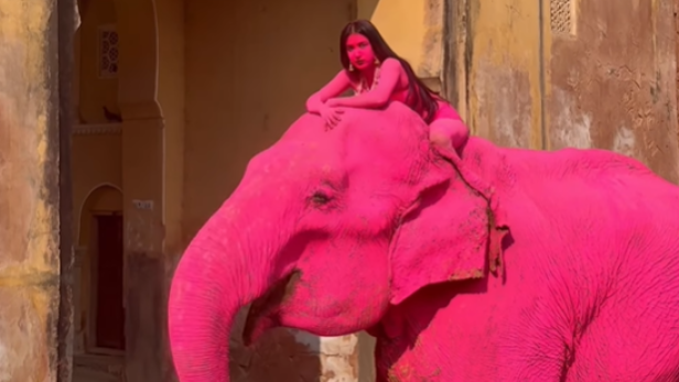 Eine Frau in Pink sitzt auf einem pink gefärbten Elefanten vor einem alten Gebäude.