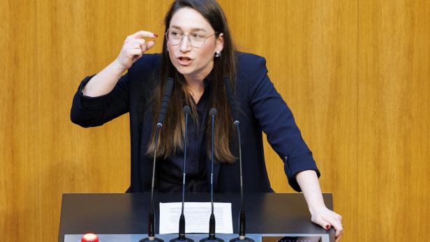 SONDERSITZUNG DES NATIONALRATS: HERR (SPÖ)