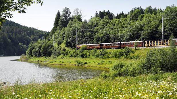 Ein Zug fährt entlang eines Flusses, umgeben von einem bunten Feld voller Blumen.