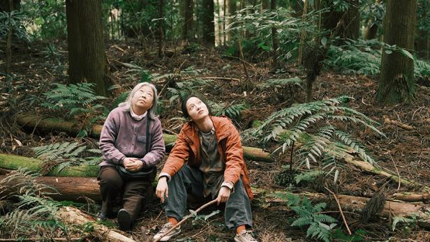 Junge und ältere Frau sitzen auf Baumstamm in einem Wald neben Farnen