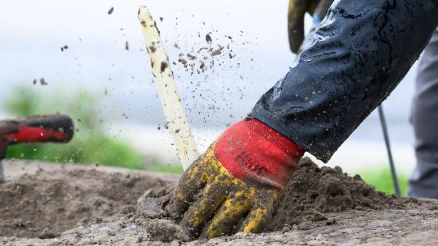 Eröffnung der Spargel-Saison 2023 in Niedersachsen