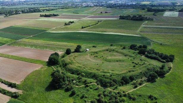 Direkt neben den Naturdenkmälern „Alte Schanzen“ sollen die vier Windräder gebaut werden (Blickrichtung Zentrum).