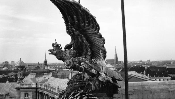 Adler auf der neuen Burg