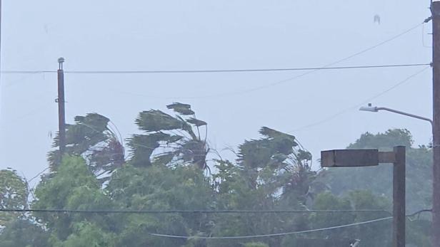 Trees sway in strong winds as Super Typhoon Sinlaku approaches, in Saipan