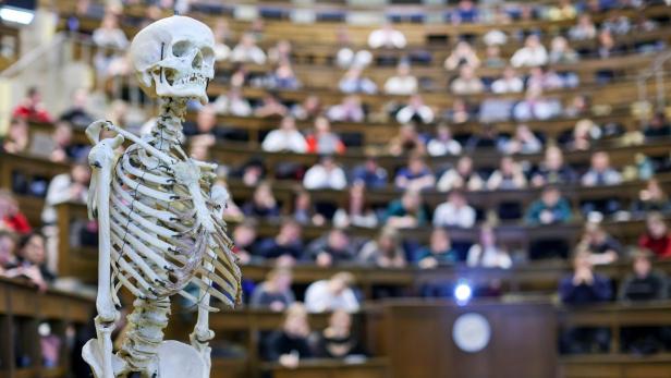 Studieren am Limit: Sozialerhebung 2025 zeigt hohe finanzielle und psychische Belastung