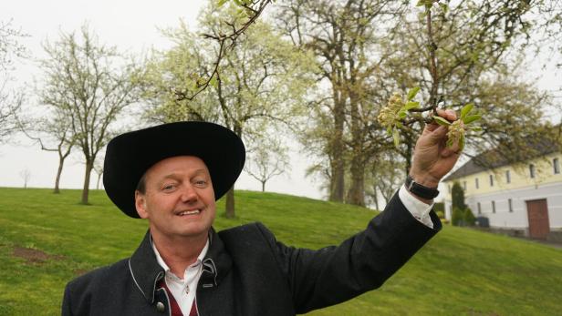 Michael Oberaigner Obmann des Obstbauverbandes 