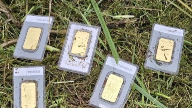 Mehrere kleine Goldbarren in Hartplastikverpackung liegen auf frisch gemähtem Gras.