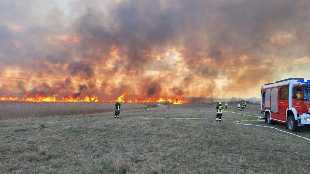 Großes Feld steht in Flammen, dichter Rauch steigt auf, Feuerwehrleute und ein Löschfahrzeug bekämpfen den Brand.