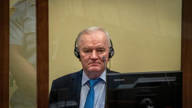 FILE PHOTO: Former Bosnian Serb commander Mladic appeal judgement at UN court in The Hague