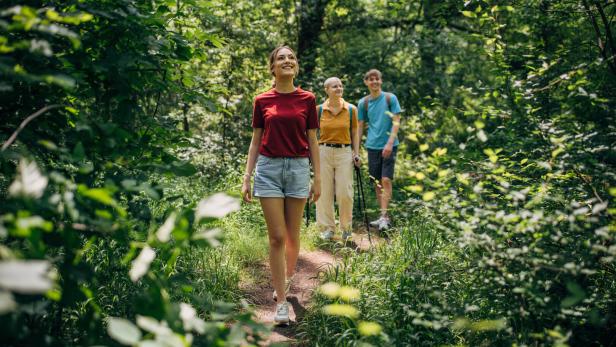 Three friends hiking in the forest and enjoying nature