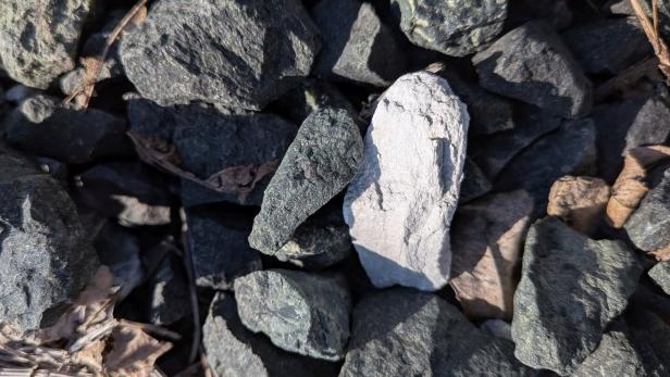 Mehrere dunkle Steine mit einem auffällig hellen Stein in der Mitte, umgeben von trockenen Blättern und Zweigen.