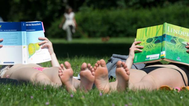Zwei Frauen liegen im Gras und lesen „Anatomie des Menschen“ und „Linder Biologie“.