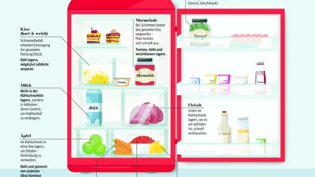 GRafik eines Kühlschranks mit Inhalt