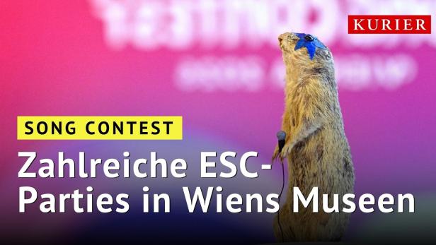 ESC in Wien: Museen werden zu Disco und Bühne für Fans