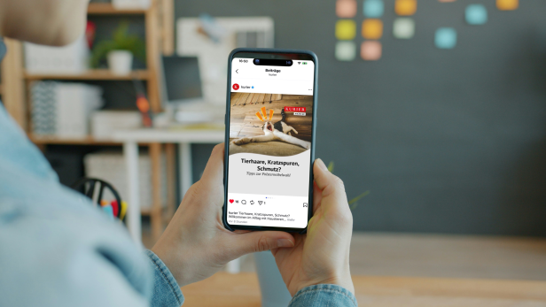 Eine Frau hält ein Handy in der Hand und zeigt ihren Instagram-Screen.