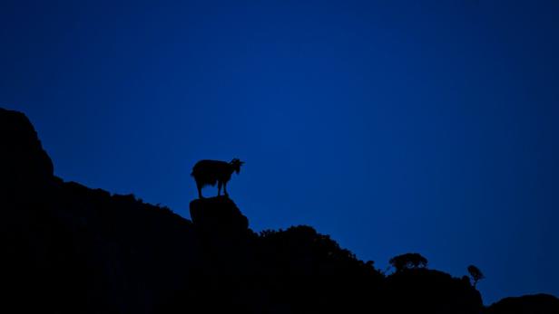 TOPSHOT-GREECE-SOCIAL-ECONOMY-DEMOGRAPHICS-TOURISM