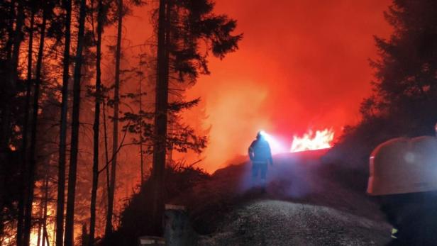 Feuerwehrleute bekämpfen einen großen Waldbrand in der Nacht, Flammen und dichter Rauch erleuchten den Himmel.