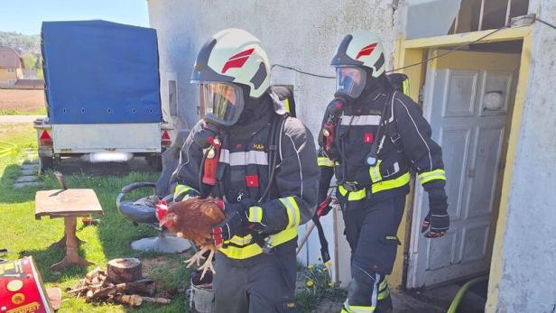 Tierrettung in Behamberg