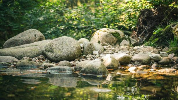 Ufer eines Sees mit großen Steinen und flachem Wasser, umgeben von dichtem Grün.
