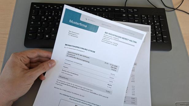 Die E-Control präsentiert eine Musterrechnung für Stromanbieter.