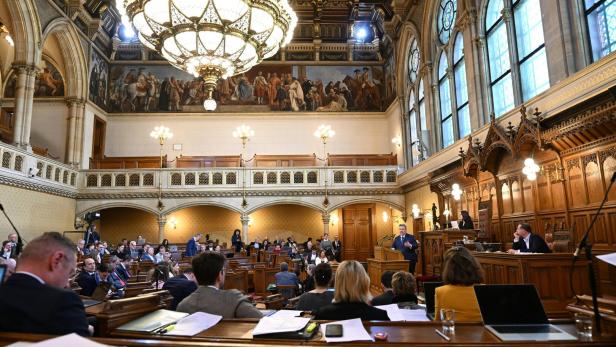 SITZUNG WIENER GEMEINDERAT: LUDWIG (SPÖ)