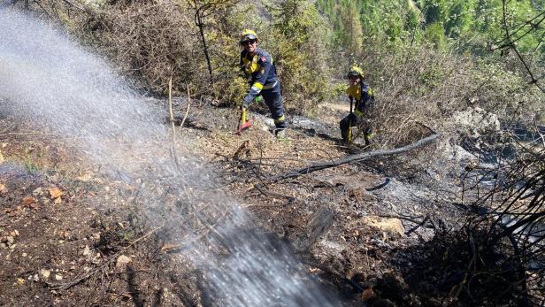 Zwei Feuerwehrleute bekämpfen mit Wasser einen Waldbrand an einem steilen, bewaldeten Hang.