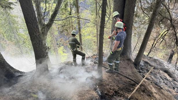 Drei Feuerwehrleute bekämpfen einen Schwelbrand im Wald zwischen Bäumen und aufsteigendem Rauch.