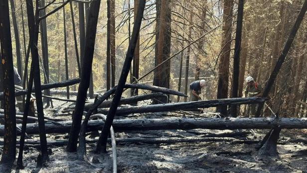 Forstarbeiter schuld? Zigarette dürfte Waldbrand im Lesachtal ausgelöst haben