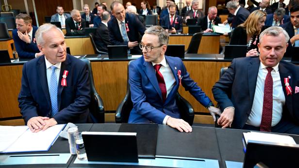 KONSTITUIERENDE SITZUNG DES NATIONALRATS: ROSENKRANZ / KICKL / HOFER