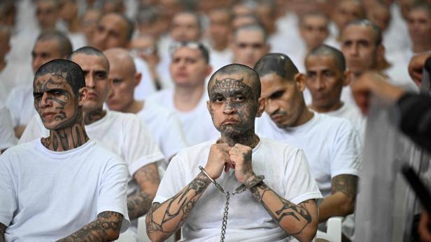 Viele Männer mit Tätowierungen und weißen T-Shirts sitzen in Reihen.