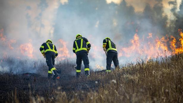 Drei Feuerwehrleute bekämpfen einen Flächenbrand auf einem trockenen Feld, während dichter Rauch und Flammen aufsteigen.