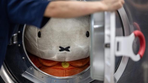 TOPSHOT-JAPAN-CULTURE-TOYS-INTERNET