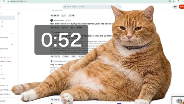 Cat Gatekeeper: Eine Katze macht sich vor einer Website breit und ein Timer wird links daneben eingeblendet. 