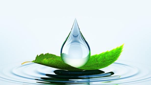 Leaf With Drop On The Water