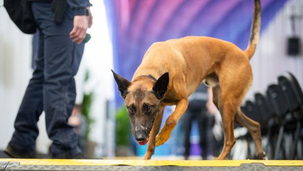 EUROVISION SONG CONTEST (ESC) 2026: INNENMINISTERIUM LOKALAUGENSCHEIN SZENARIO "LOCKDOWN"