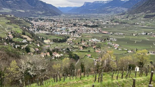 Blick auf Meran