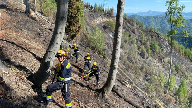 ++ HANDOUT ++ STEIERMARK: WALDBRAND NÖRDLICH VON GRAZ WEITETE SICH AUF RUND 70 HEKTAR AUS
