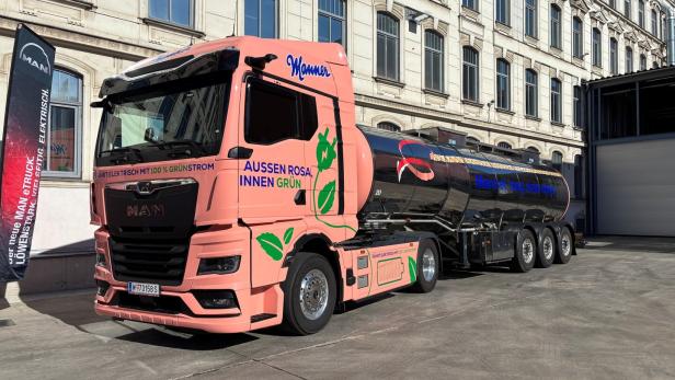 rosa Manner E-LKW