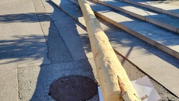 Umgeschnittener Maibaum