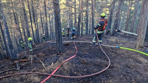 Waldbrand bei Gutenstein.